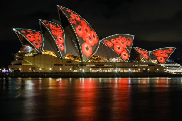 Poppies projected onto the sails of the Opera House 
